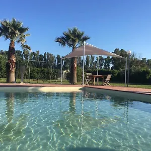 Tortuga Scarlino